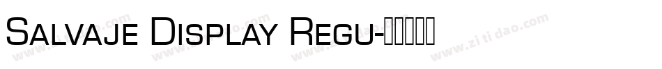 Salvaje Display Regu字体转换